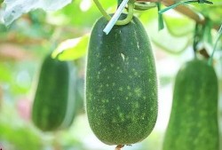 热门大瓜有哪些,揭秘明星幕后故事